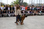 ide Öğrencilerinden  Sokak Hayvanlarına Büyük Destek