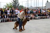 ide Öğrencilerinden  Sokak Hayvanlarına Büyük Destek