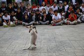 ide Öğrencilerinden  Sokak Hayvanlarına Büyük Destek