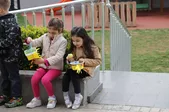 Yumurta Avı Oyunu