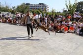 Satın Alma, Sahiplen!