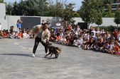 Satın Alma, Sahiplen!
