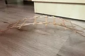 ide Öğrencilerinden Da Vinci Köprüsü