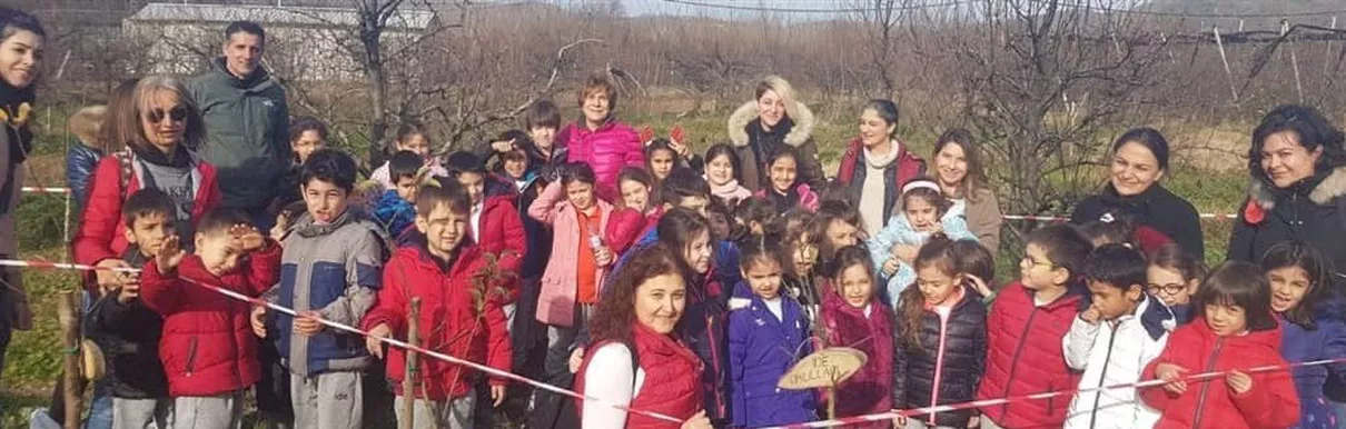 Dalından Taptaze Meyveler Topladık.
