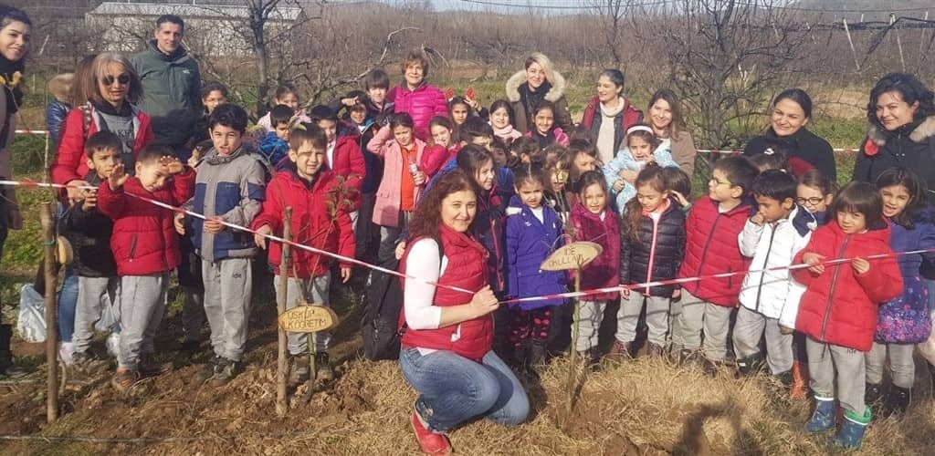 Dalından Taptaze Meyveler Topladık.