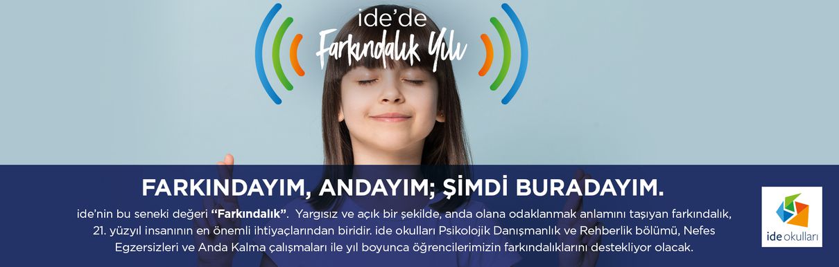ide'de Farkındalık Yılı