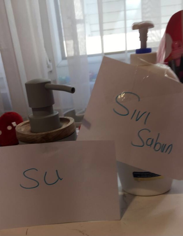 ide'lilerden Zihni Sinir Projeler