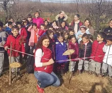 Dalından Taptaze Meyveler Topladık.
